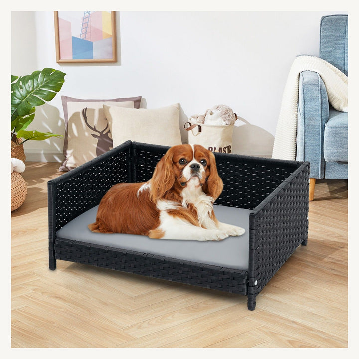 Removable padded cushion