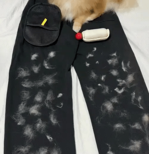 FurLift in use