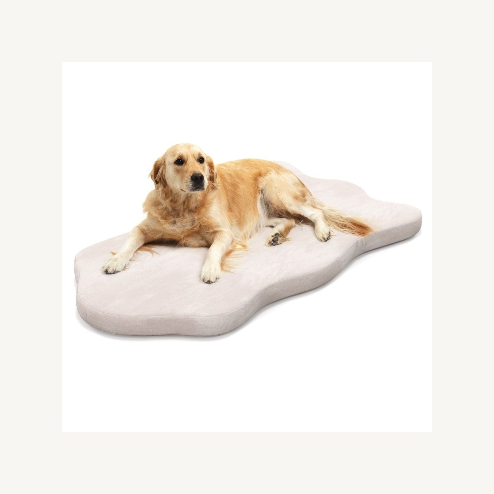 Pawly Memory Foam Dog Bed clean product view
