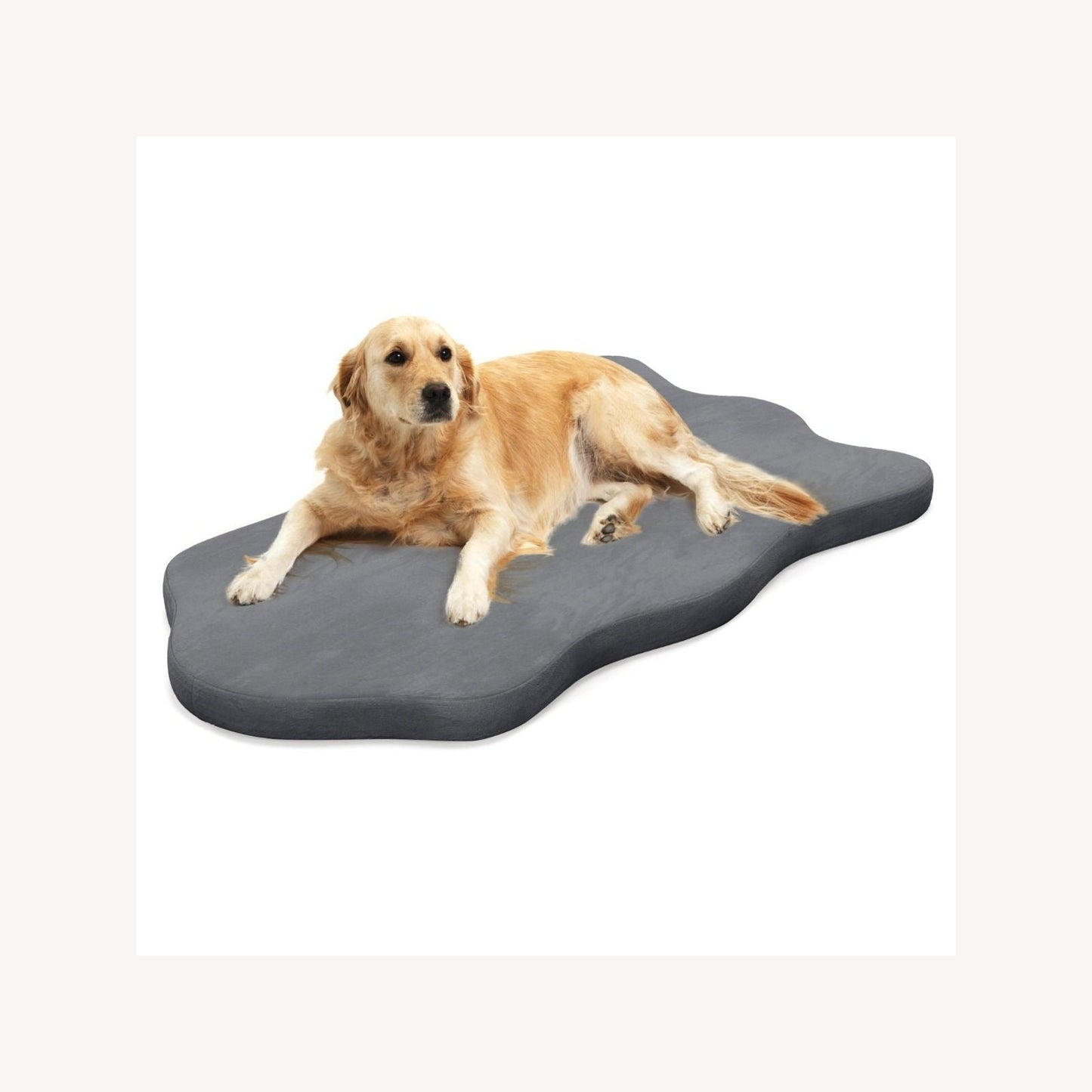 Pawly Memory Foam Dog Bed shown in everyday use