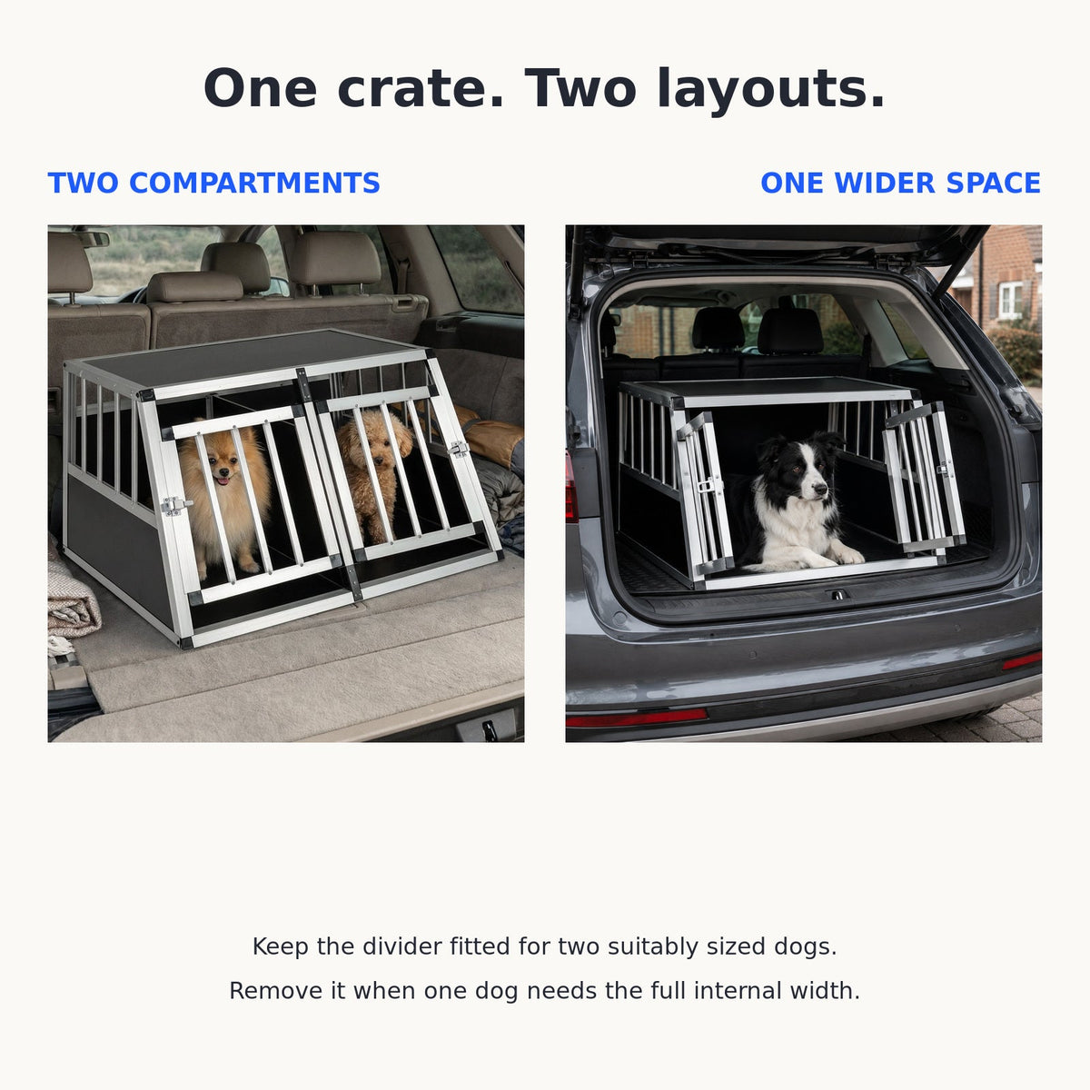 A place of their own in the car