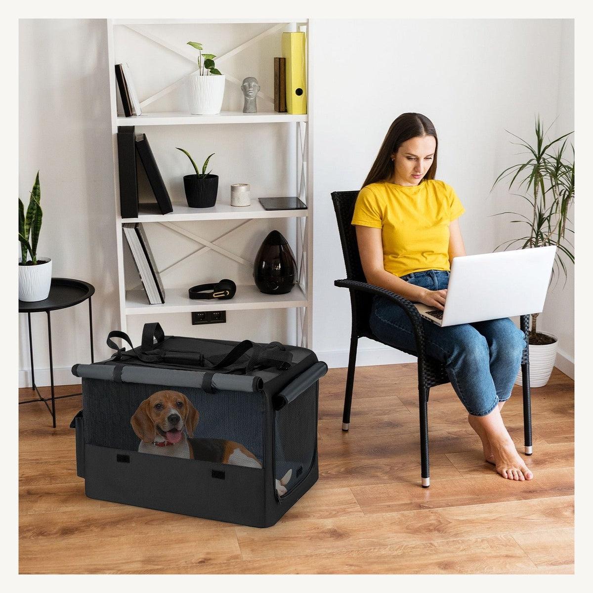 Foldable and Portable Design