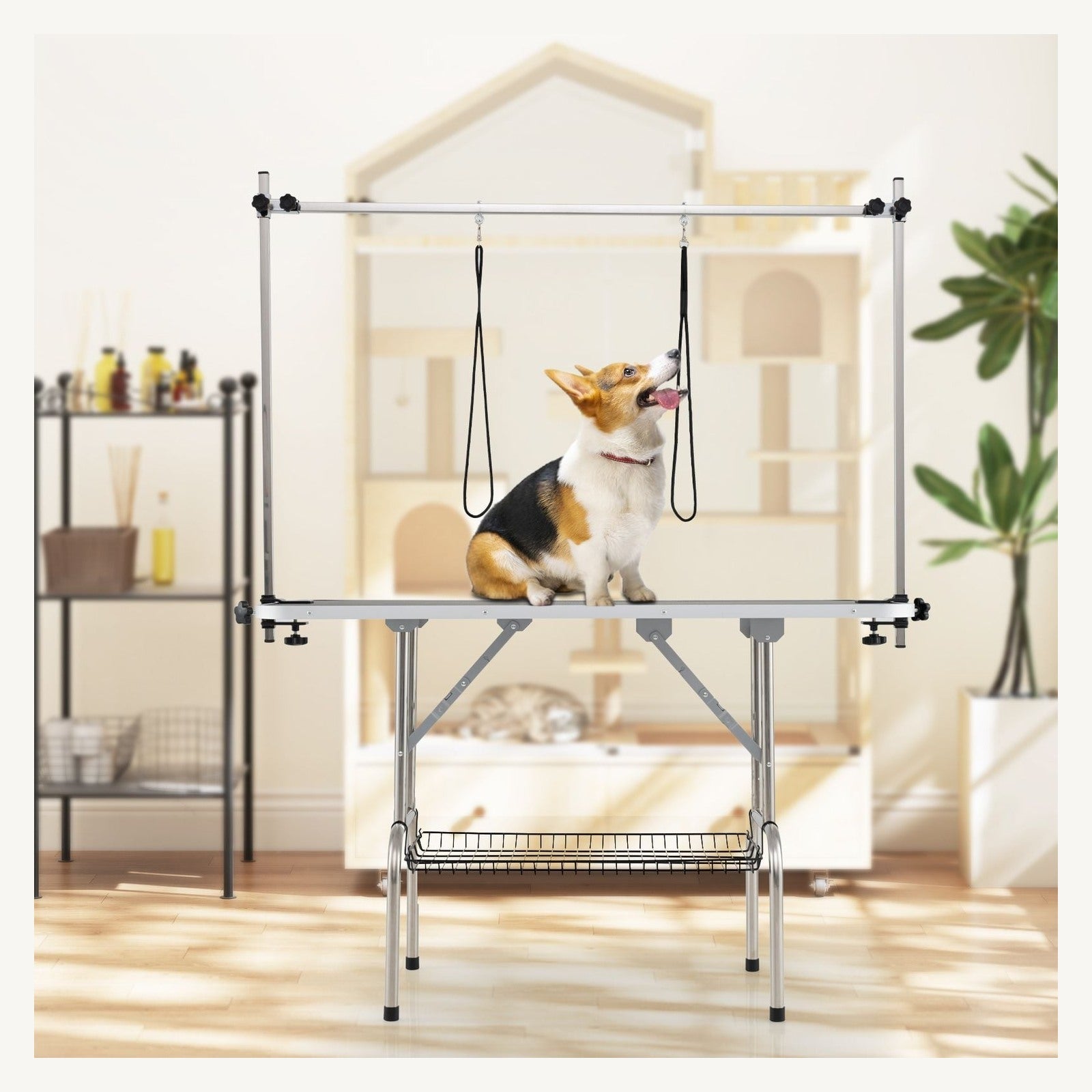 Pawly Foldable Dog Grooming Table shown in everyday use