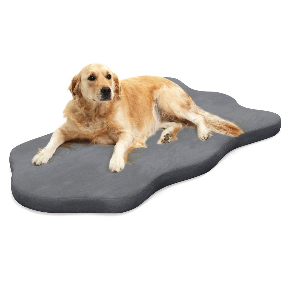 Pawly Memory Foam Dog Bed — curated product gallery view 1