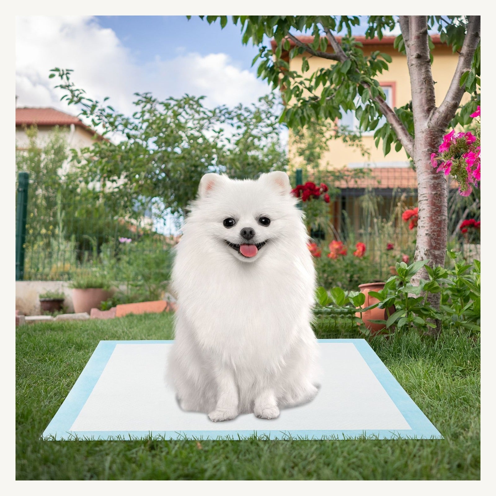 Pawly Six-Layer Puppy Training Pads shown in everyday use