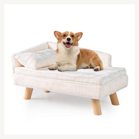 Pawly Elevated Dog Bed clean product view