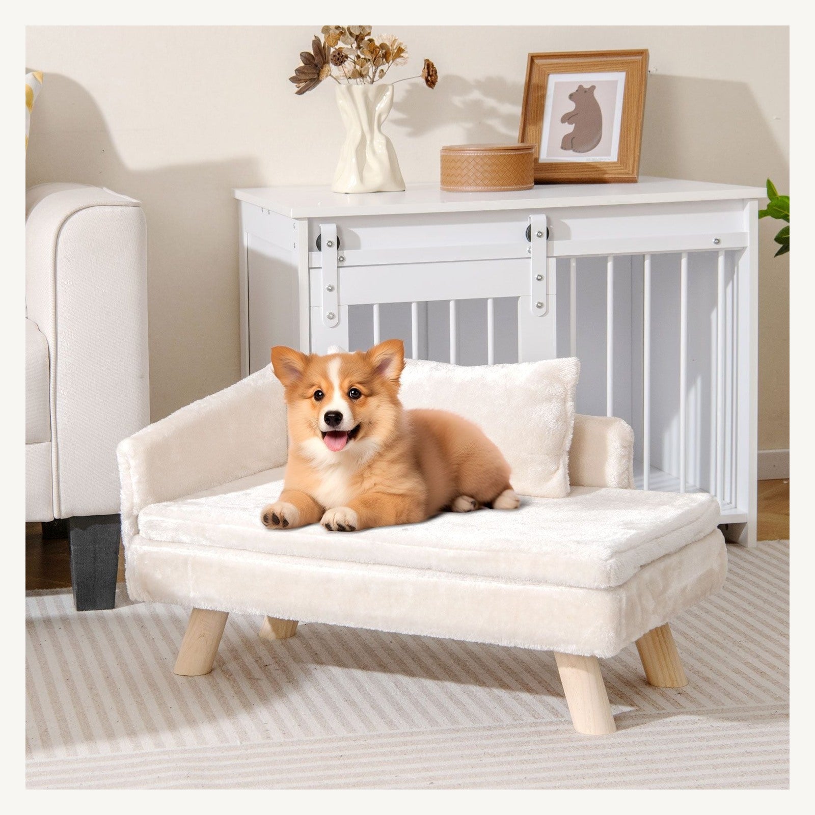 Pawly Elevated Dog Bed shown in everyday use