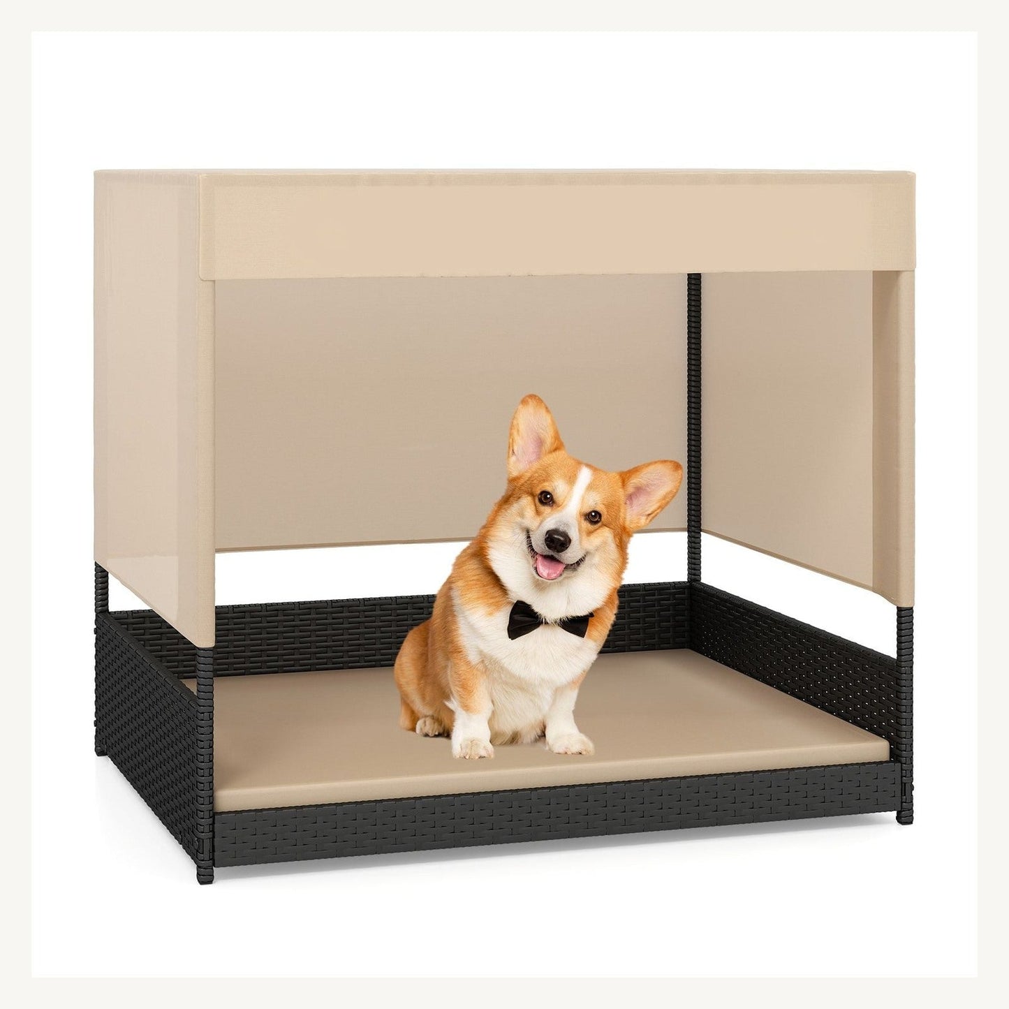 Pawly Elevated Wicker Dog House clean product view