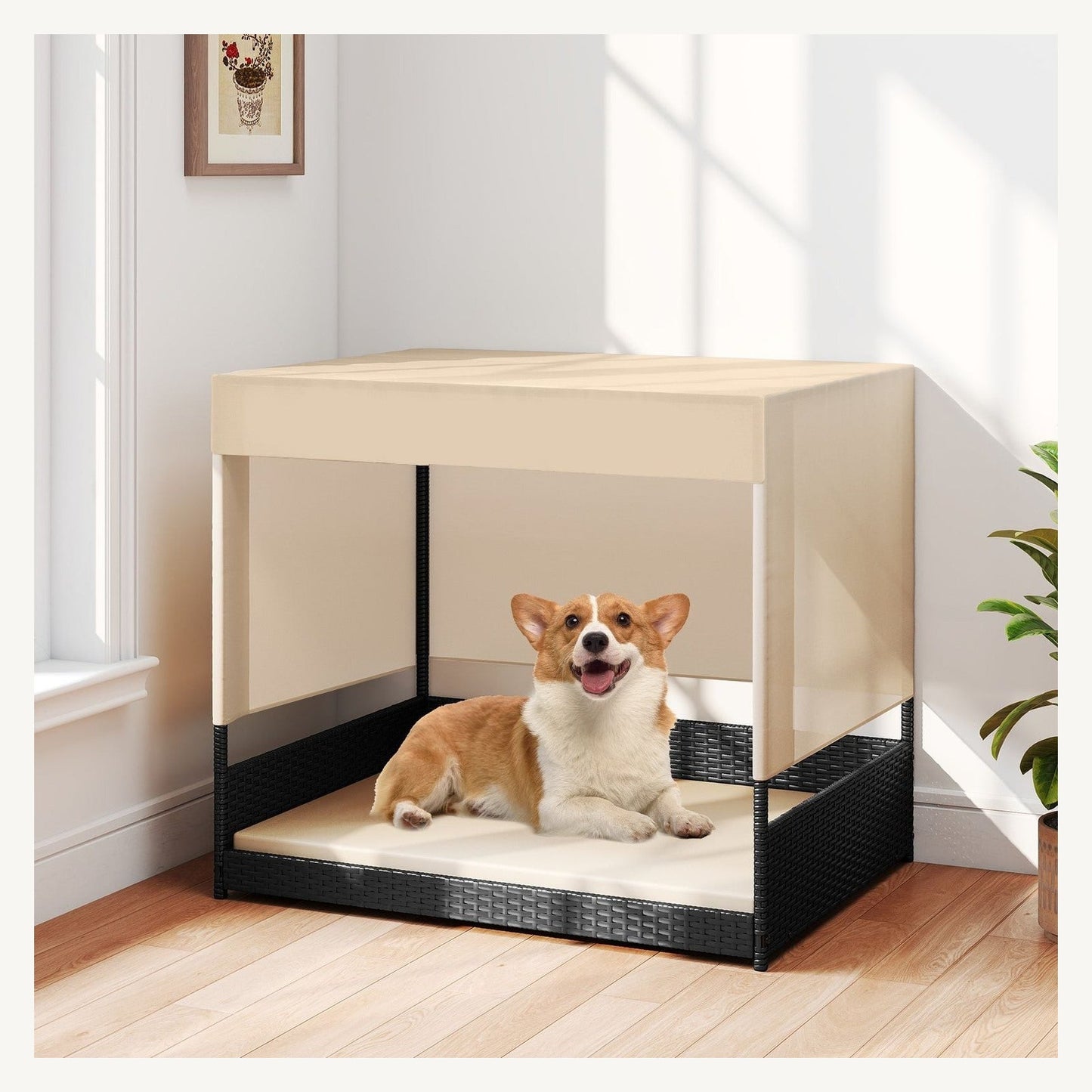Pawly Elevated Wicker Dog House shown in everyday use