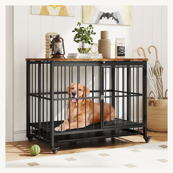 Secure Entries & Removable Tray