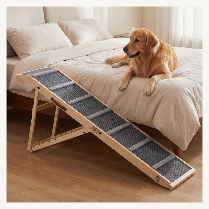 Carpeted surface with crossbars