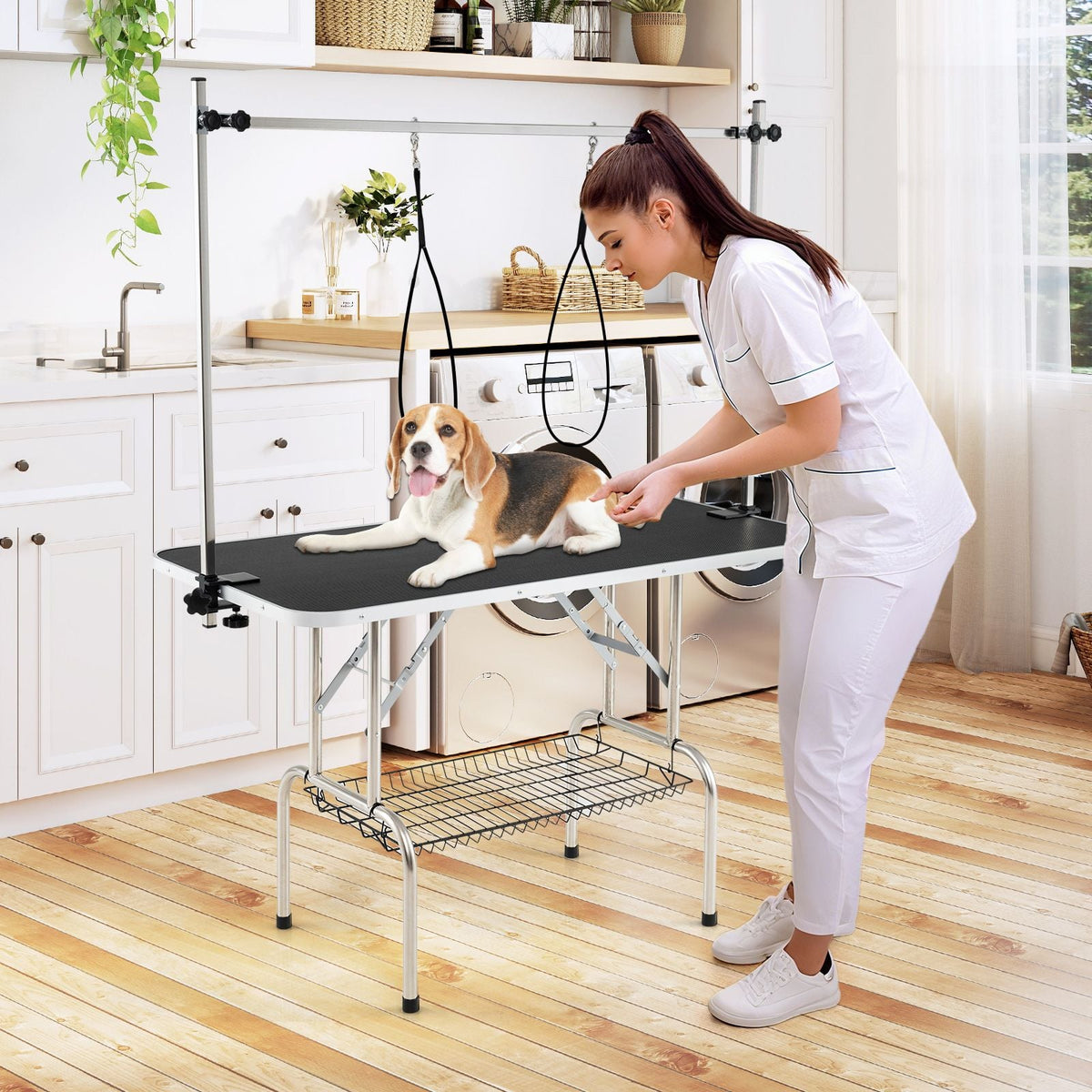 Non-slip Desktop and Mesh Tray