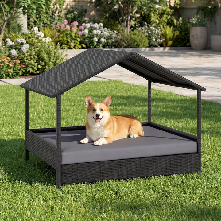 Removable cushioned base