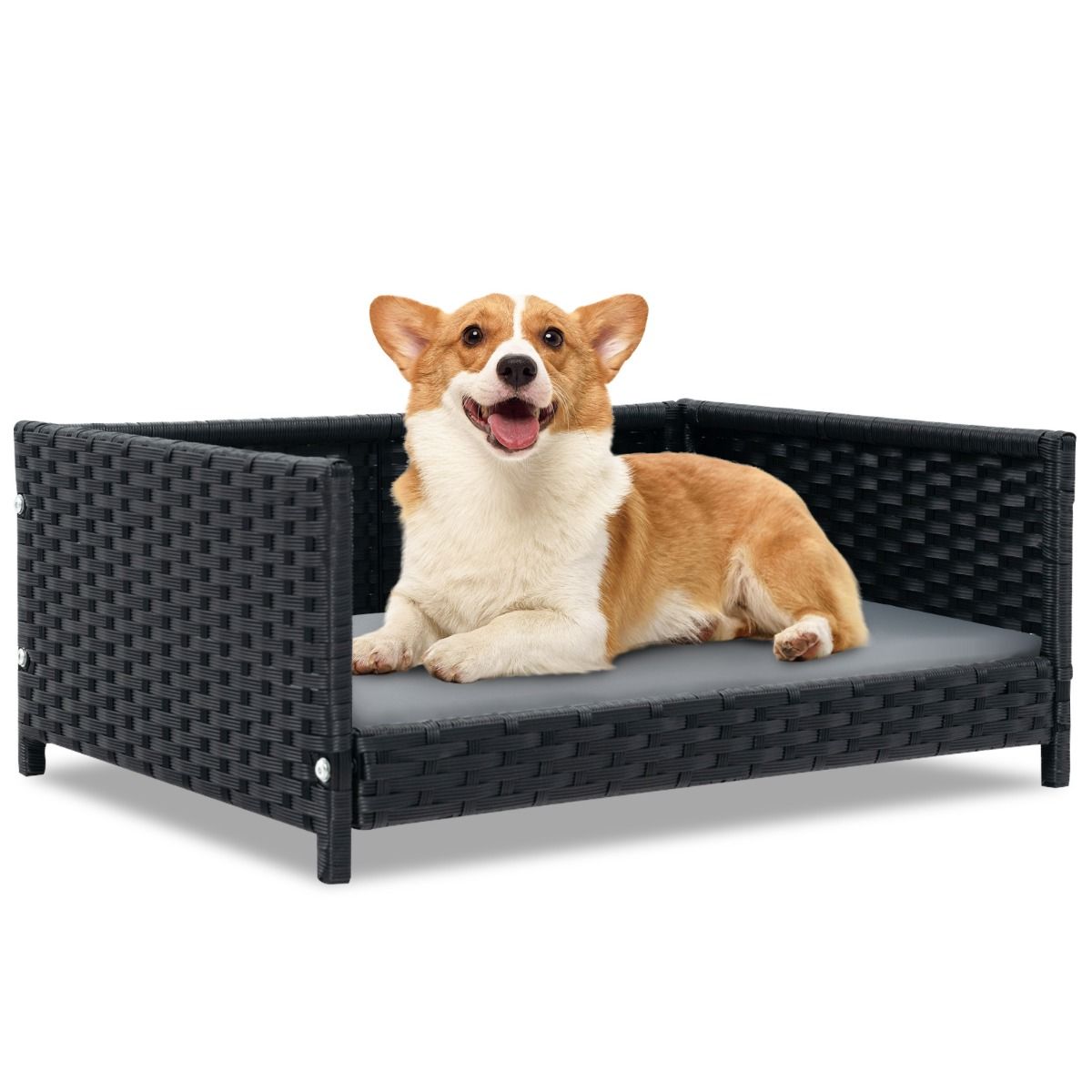 Pawly Handwoven Wicker Dog Bed — curated product gallery view 1